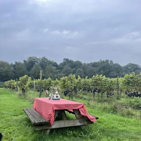 Erve Zonnehoeve En Wijngaard Bed & Breakfast 3*