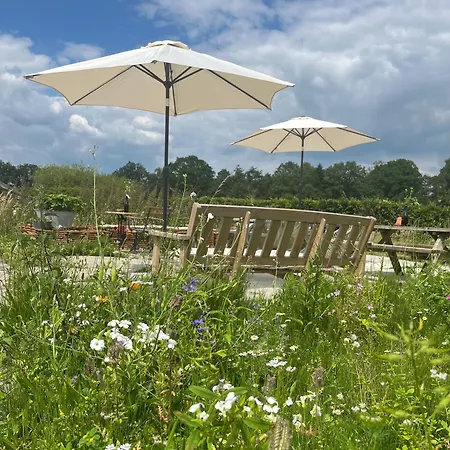 Erve Zonnehoeve En Wijngaard Bed & Breakfast Vorden