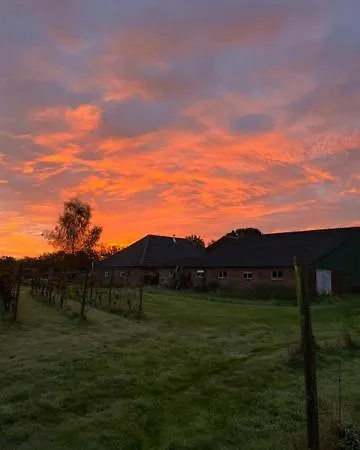 Erve Zonnehoeve En Wijngaard Bed & Breakfast *