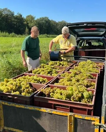 Bed & Breakfast Erve Zonnehoeve En Wijngaard Vorden