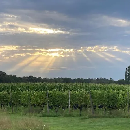 Erve Zonnehoeve En Wijngaard * Vorden