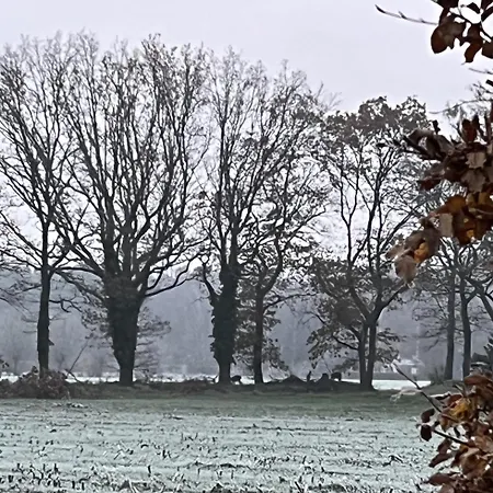 Erve Zonnehoeve En Wijngaard