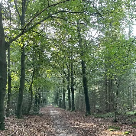 Erve Zonnehoeve En Wijngaard Vorden