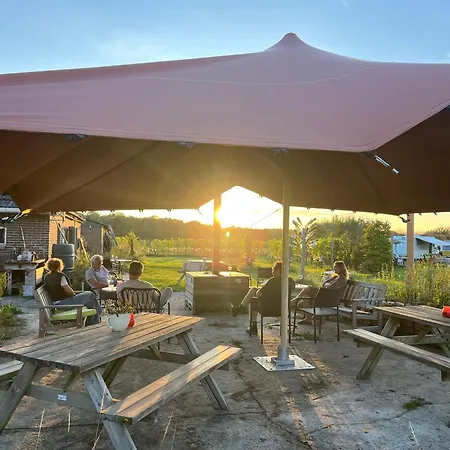 Erve Zonnehoeve En Wijngaard Couette-café Vorden