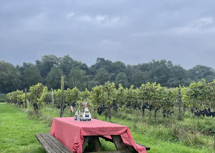 Erve Zonnehoeve En Wijngaard B&B 3*