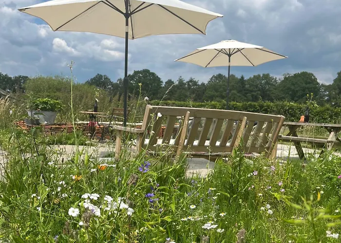 Erve Zonnehoeve En Wijngaard B&B 보르덴