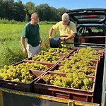 Panzió Erve Zonnehoeve En Wijngaard Vorden
