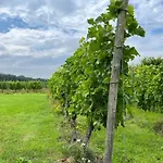 Erve Zonnehoeve En Wijngaard 3* Vorden