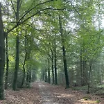 Erve Zonnehoeve En Wijngaard Vorden