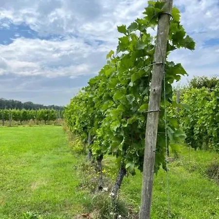 Erve Zonnehoeve En Wijngaard 3* Vorden