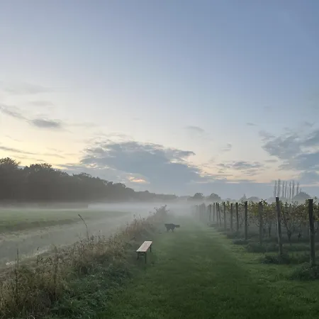Erve Zonnehoeve En Wijngaard 3* Vorden