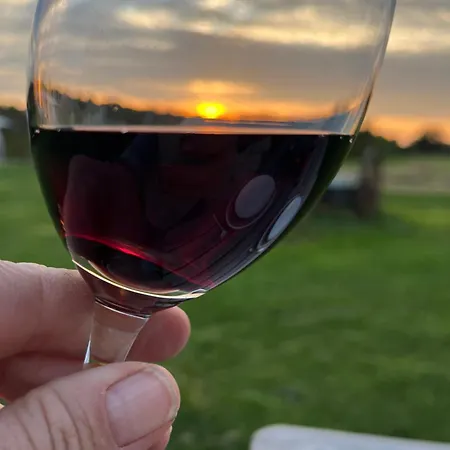 Erve Zonnehoeve En Wijngaard