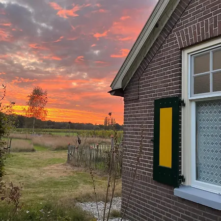 Erve Zonnehoeve En Wijngaard