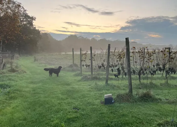 فندق مبيت وإفطار Erve Zonnehoeve En Wijngaard فوردين