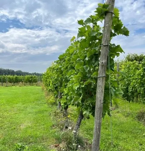 Erve Zonnehoeve En Wijngaard 3* فوردين