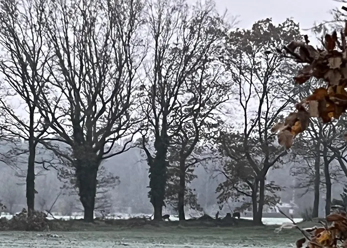 Erve Zonnehoeve En Wijngaard