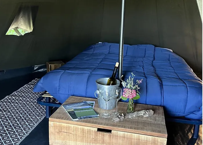 فندق مبيت وإفطار Erve Zonnehoeve En Wijngaard 3*