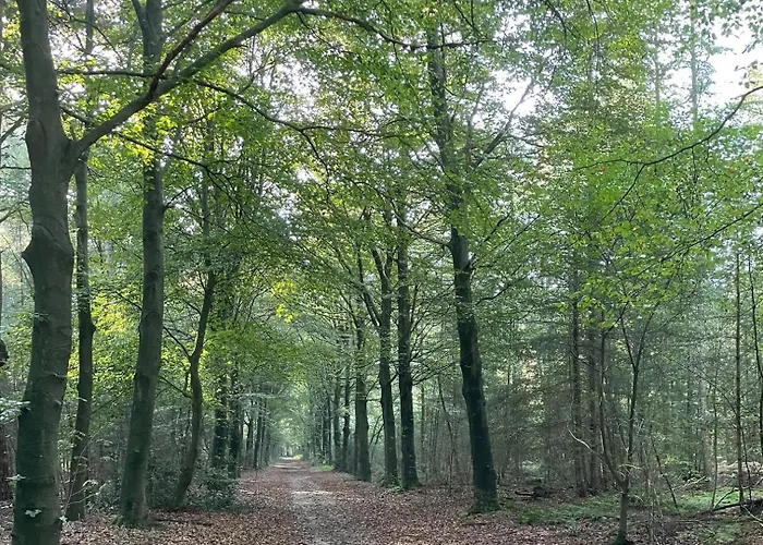 Erve Zonnehoeve En Wijngaard فوردين