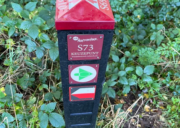 فندق مبيت وإفطار Erve Zonnehoeve En Wijngaard فوردين