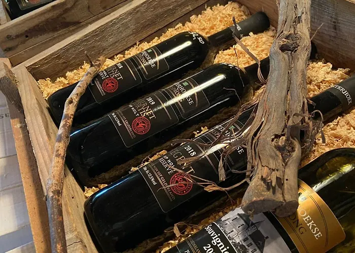 Erve Zonnehoeve En Wijngaard فوردين