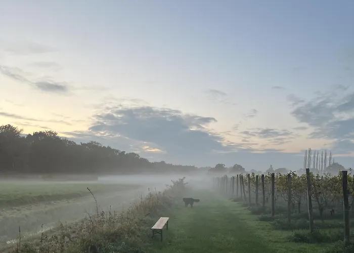 Erve Zonnehoeve En Wijngaard 3* فوردين