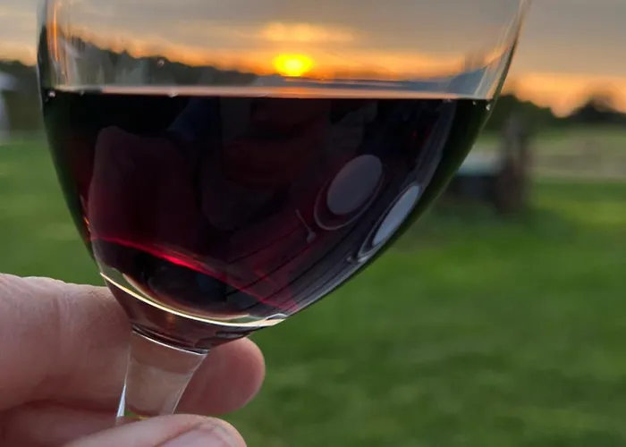 Erve Zonnehoeve En Wijngaard