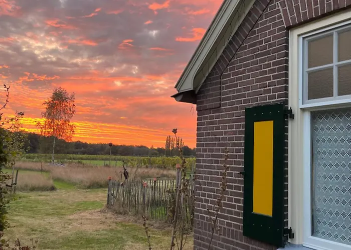 Erve Zonnehoeve En Wijngaard